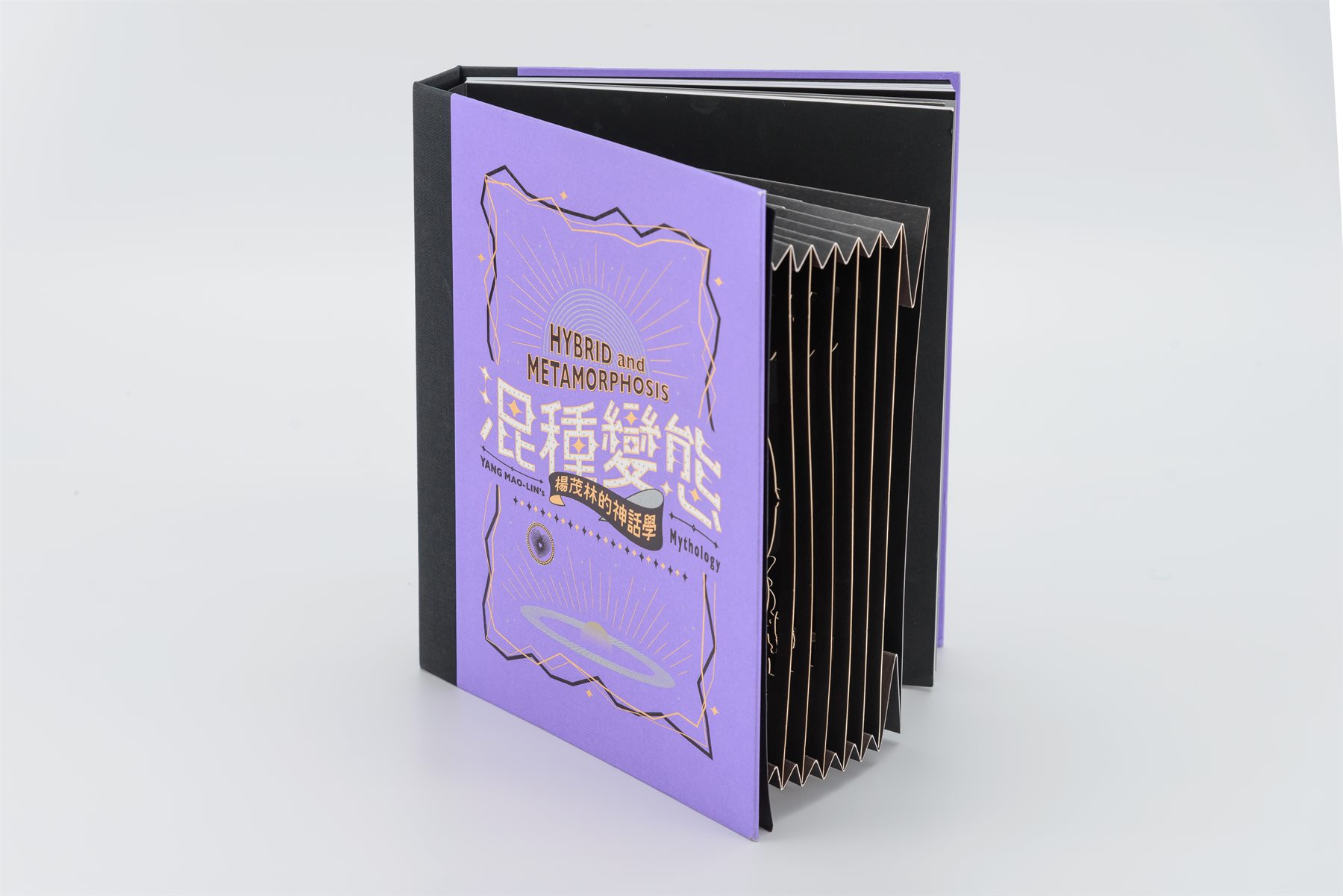 《混種變態》紫色手風琴書作品